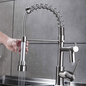 Aimadi Single Handle Kitchen Faucet with Pull Down Sprayer, LED Light Two Spout