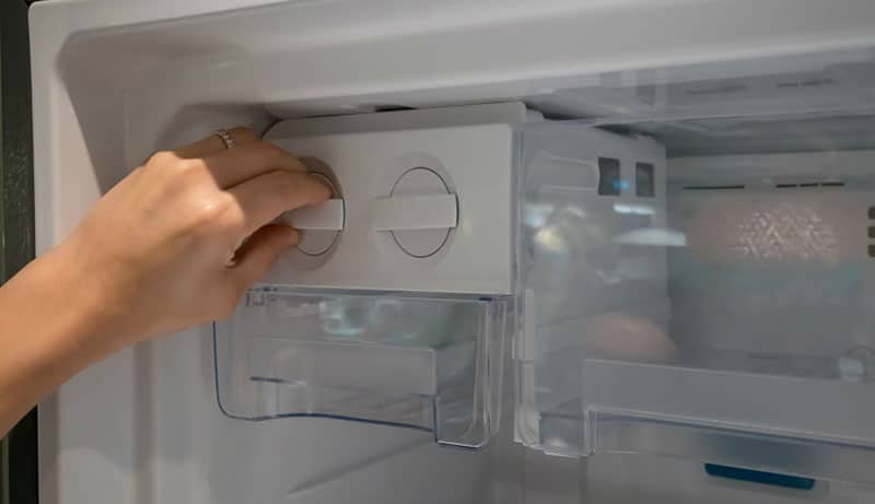 Clean Mold from Portable Ice Maker