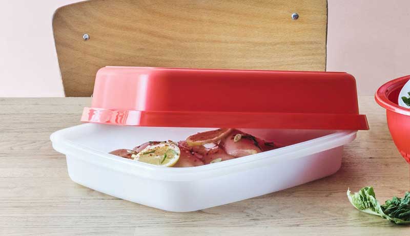 Best Container for Marinating Meat