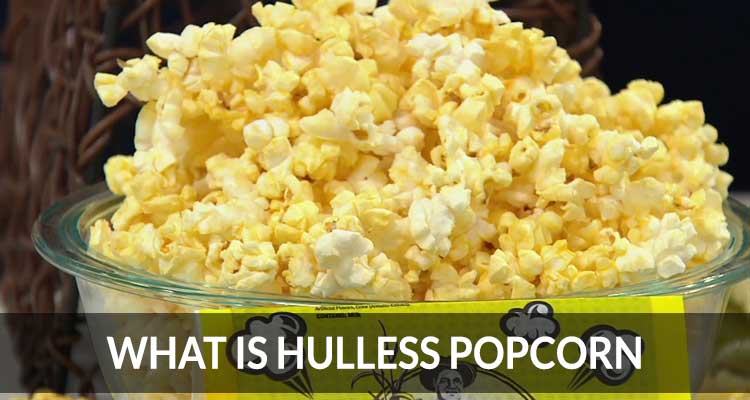What Is Hulless Popcorn