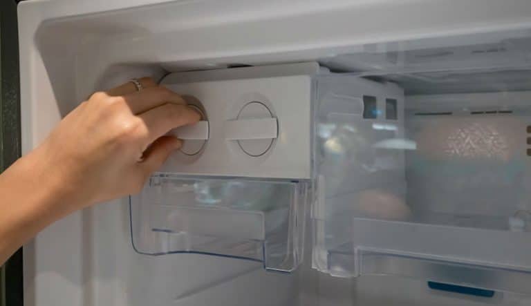 How to Clean Mold from Portable Ice Maker for 2022? - Sustainable SD